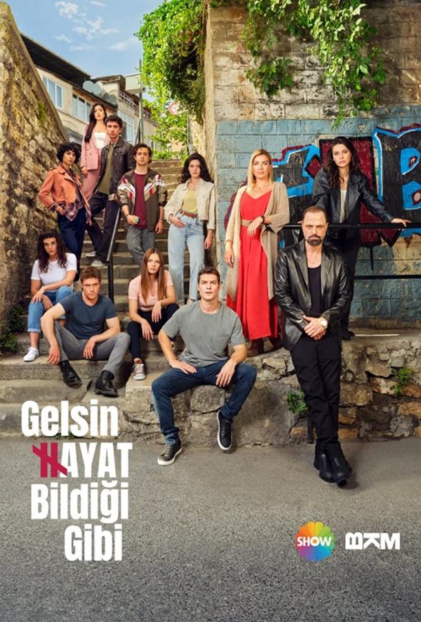 Подробнее о турецком сериале «Жизнь как она есть»